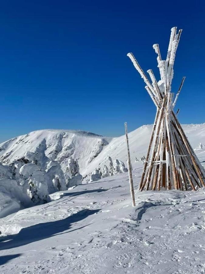 Certovka Trojka - Apartman Harrachov Exteriör bild