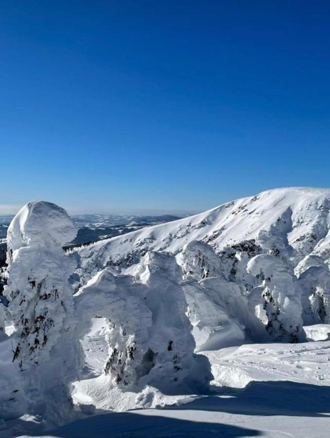 Certovka Trojka - Apartman Harrachov Exteriör bild