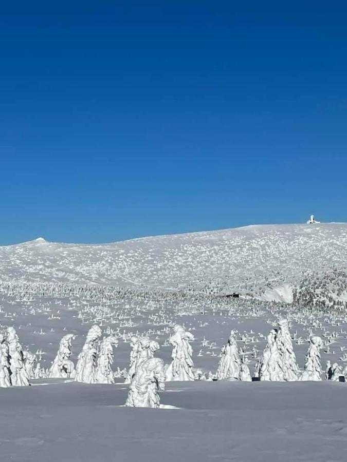 Certovka Trojka - Apartman Harrachov Exteriör bild